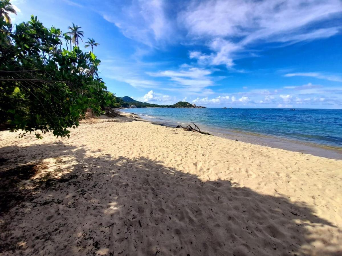 Magic Green Dentro Del Parque Tayrona El Zaino Εξωτερικό φωτογραφία