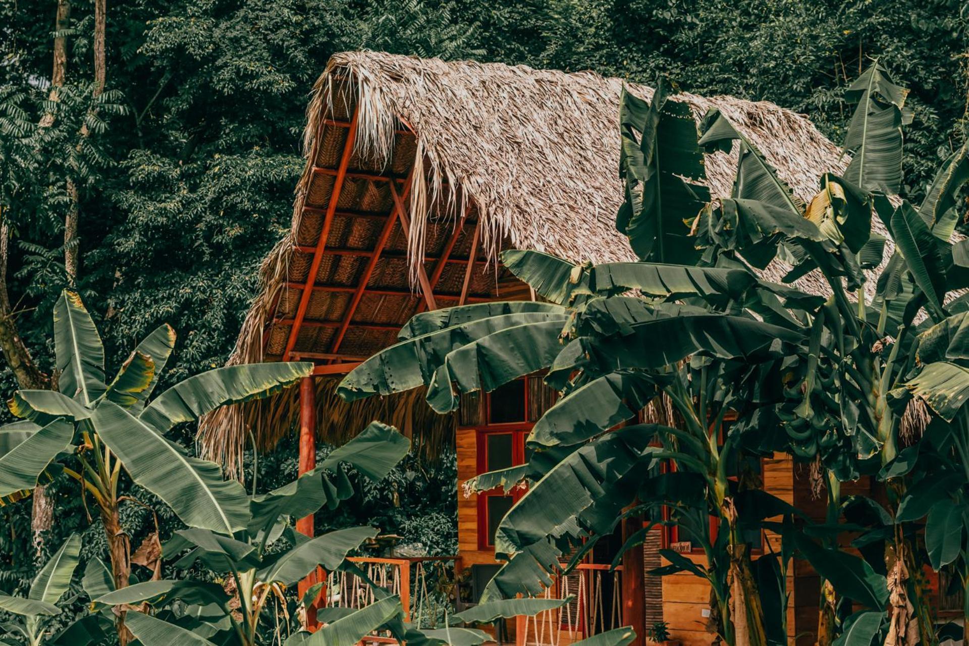 Magic Green Dentro Del Parque Tayrona El Zaino Εξωτερικό φωτογραφία