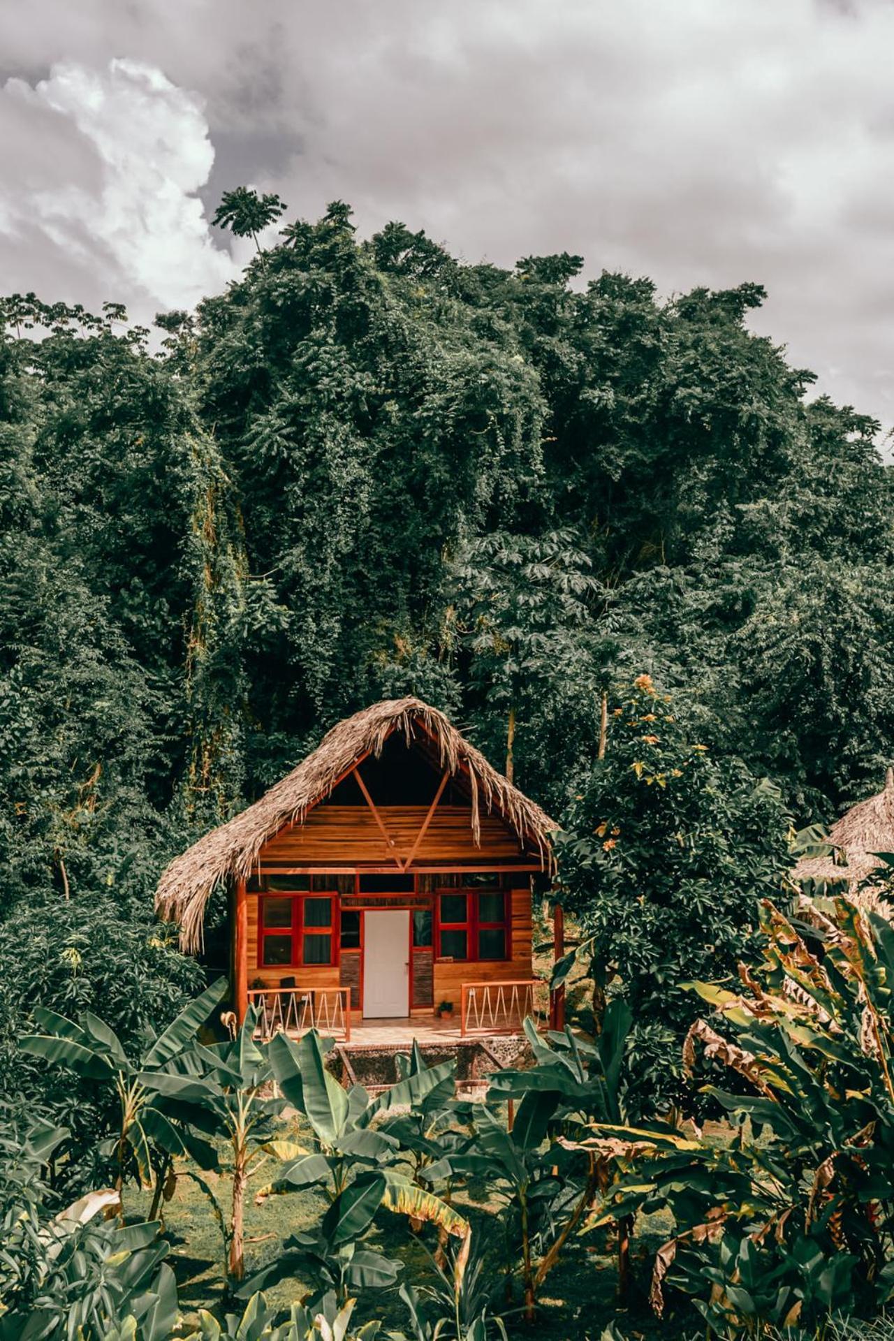 Magic Green Dentro Del Parque Tayrona El Zaino Εξωτερικό φωτογραφία