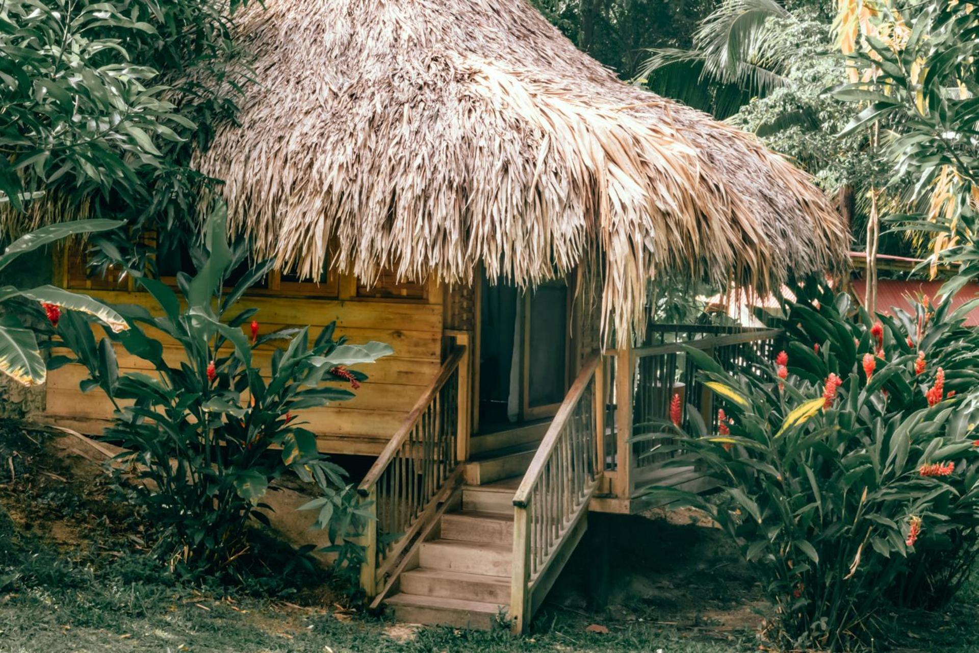 Magic Green Dentro Del Parque Tayrona El Zaino Εξωτερικό φωτογραφία