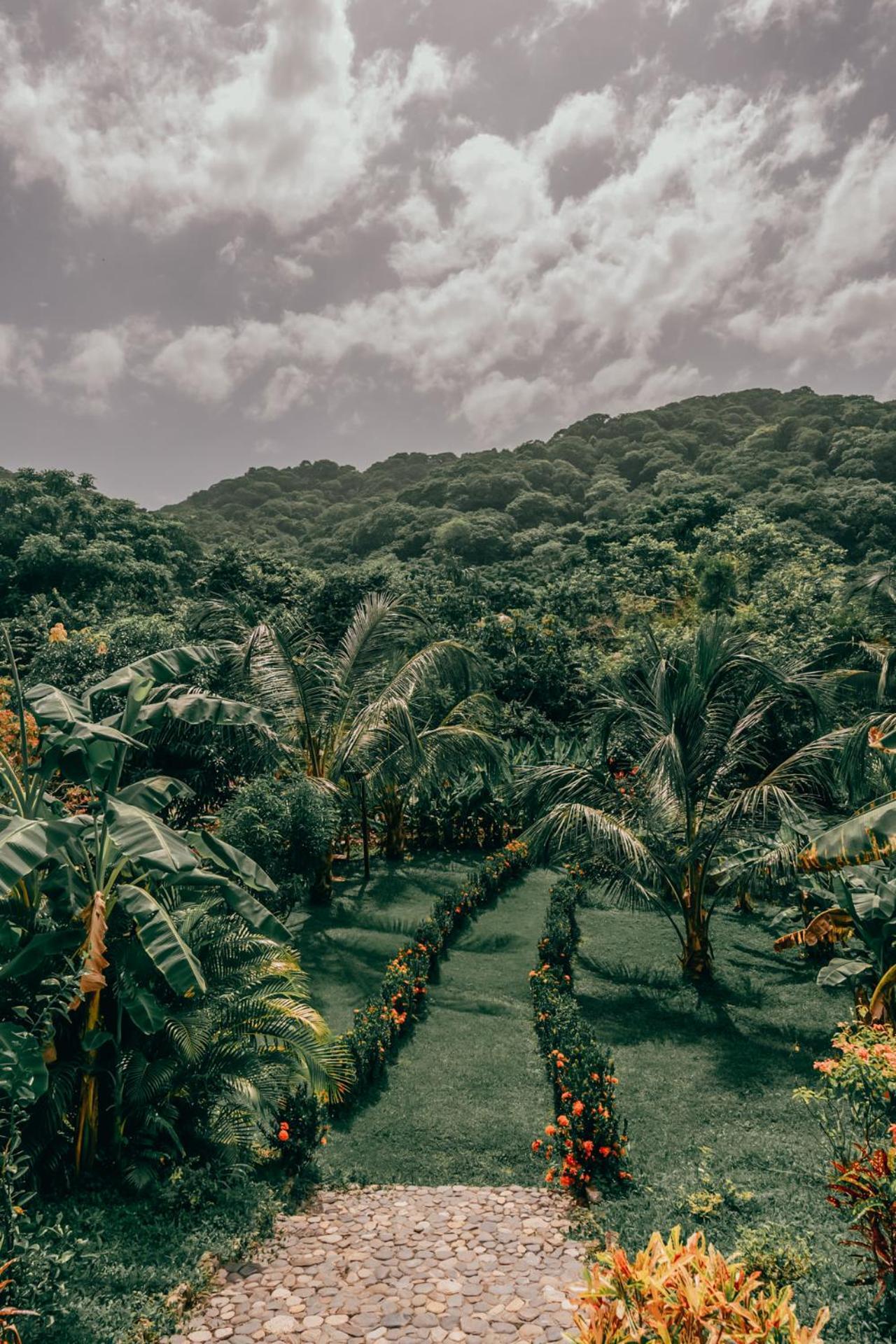 Magic Green Dentro Del Parque Tayrona El Zaino Εξωτερικό φωτογραφία