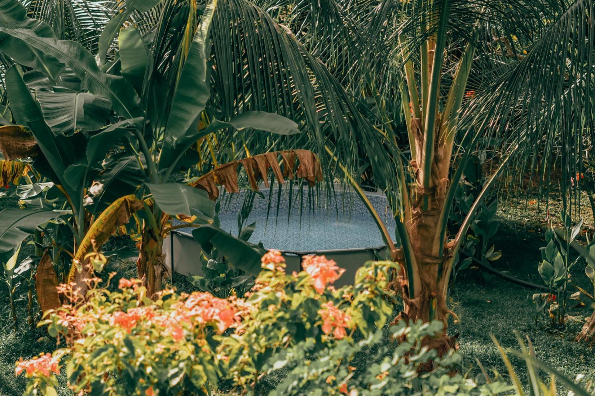 Magic Green Dentro Del Parque Tayrona El Zaino Εξωτερικό φωτογραφία