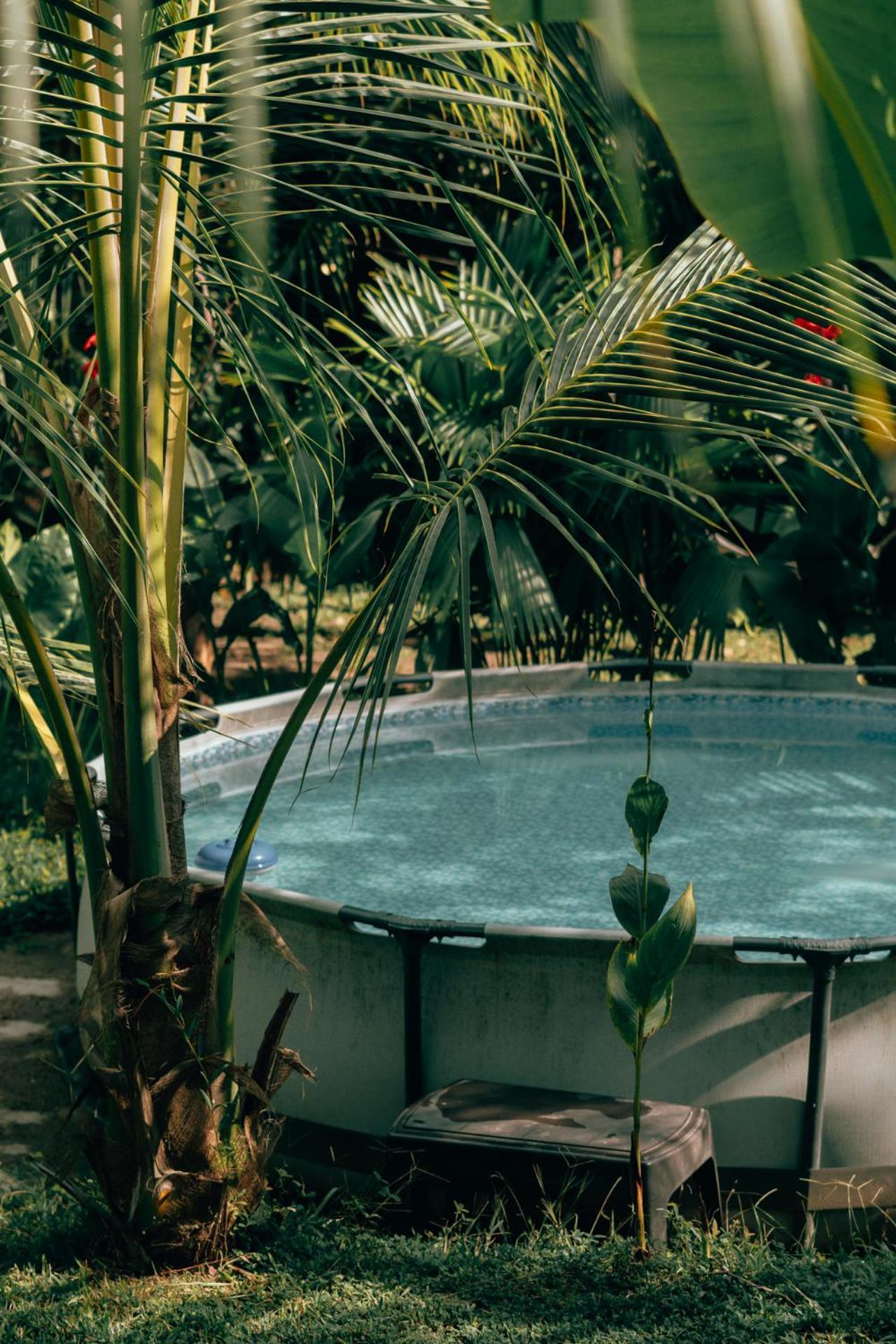 Magic Green Dentro Del Parque Tayrona El Zaino Εξωτερικό φωτογραφία